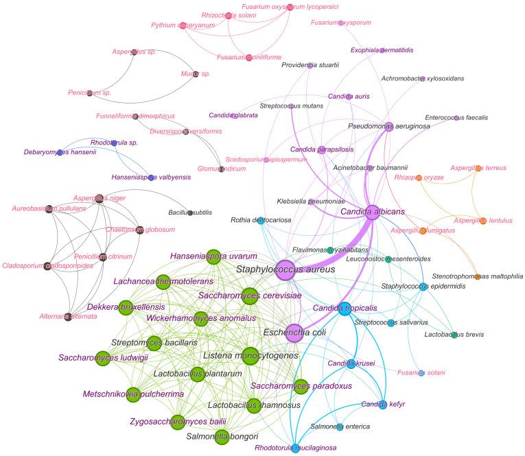 https://cdn.ncbi.nlm.nih.gov/pmc/blobs/e49c/11356704/a8afd96dcc08/microorganisms-12-01650-g008.jpg