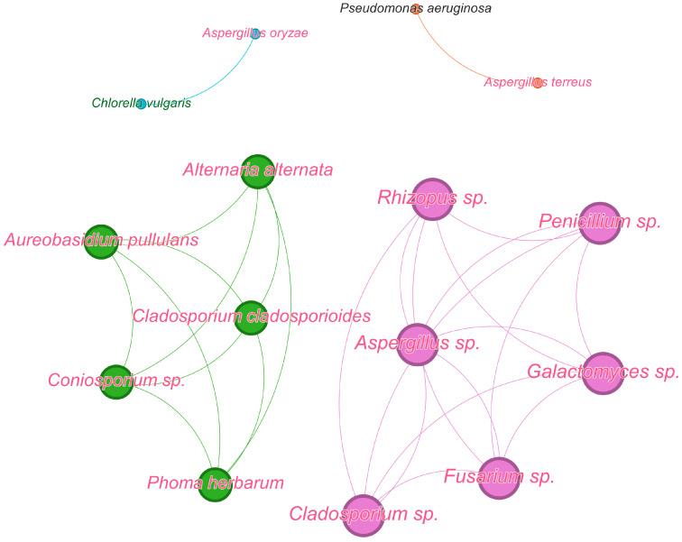 https://cdn.ncbi.nlm.nih.gov/pmc/blobs/e49c/11356704/f76cff1ba151/microorganisms-12-01650-g009.jpg