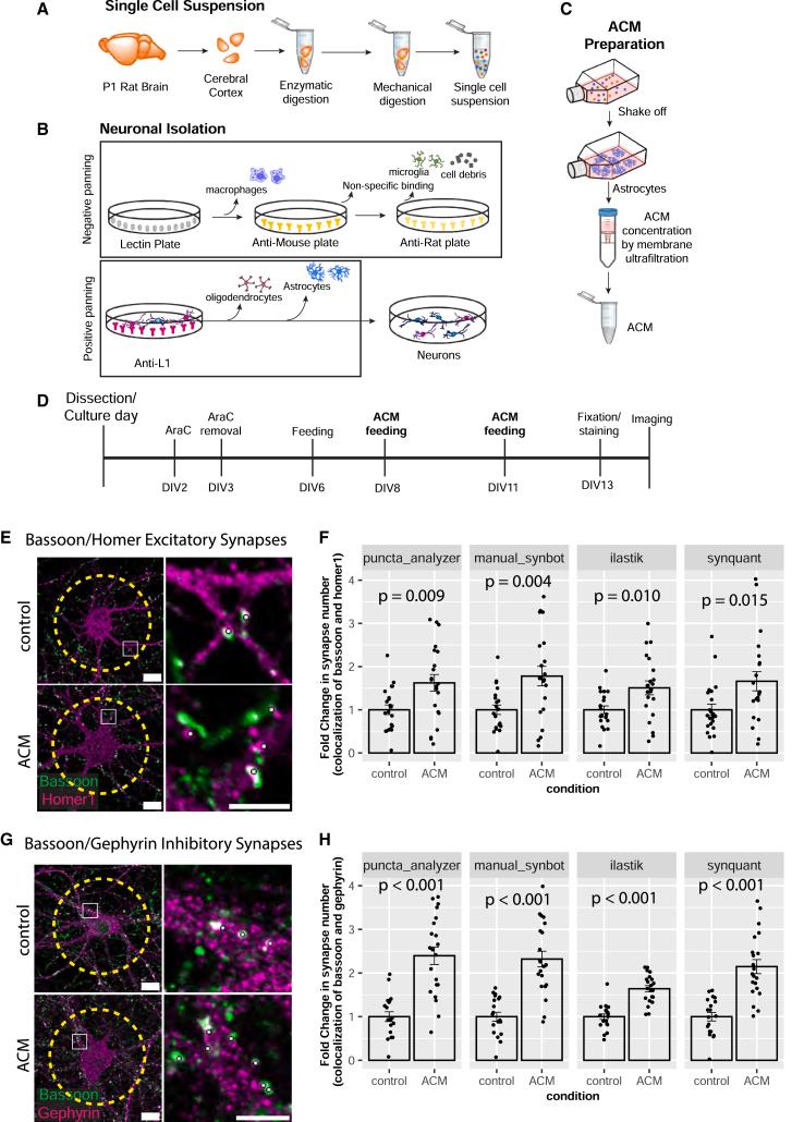 https://cdn.ncbi.nlm.nih.gov/pmc/blobs/e49c/11440803/ce2f78731bb6/gr5.jpg
