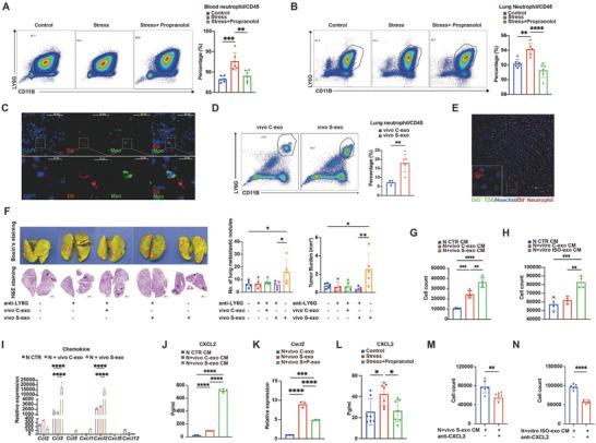 https://cdn.ncbi.nlm.nih.gov/pmc/blobs/e4a0/11789585/50a0186f30fc/ADVS-12-2310266-g001.jpg