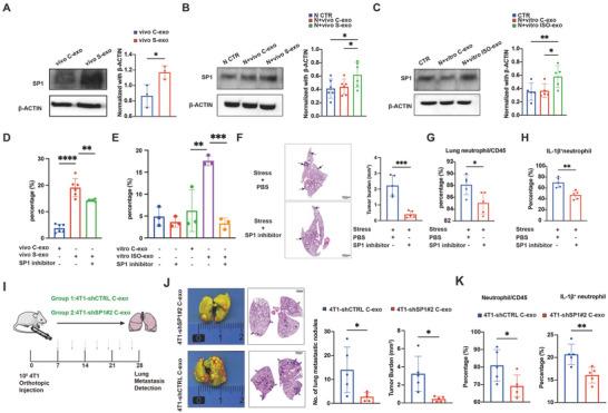 https://cdn.ncbi.nlm.nih.gov/pmc/blobs/e4a0/11789585/940c2518f36d/ADVS-12-2310266-g003.jpg