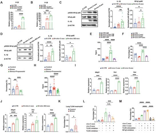 https://cdn.ncbi.nlm.nih.gov/pmc/blobs/e4a0/11789585/cd1cb42900d0/ADVS-12-2310266-g004.jpg