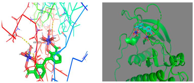 https://cdn.ncbi.nlm.nih.gov/pmc/blobs/e4a3/11397195/08c6a75790d5/molecules-29-04239-g007.jpg