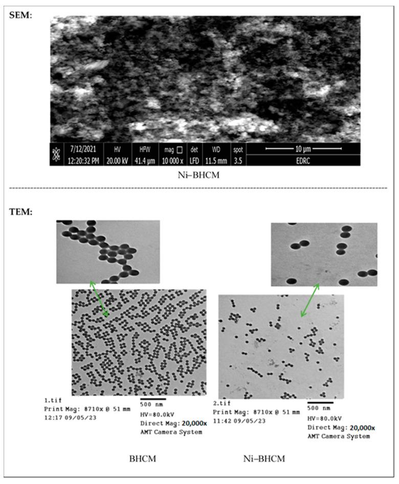 https://cdn.ncbi.nlm.nih.gov/pmc/blobs/e4a3/11397195/5e82d04eb038/molecules-29-04239-g001.jpg