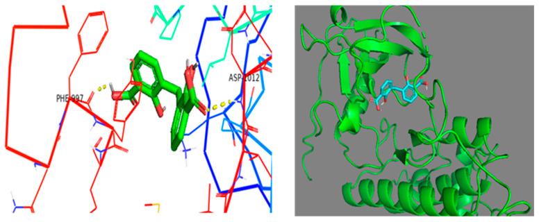 https://cdn.ncbi.nlm.nih.gov/pmc/blobs/e4a3/11397195/90ed5c3212d6/molecules-29-04239-g006.jpg