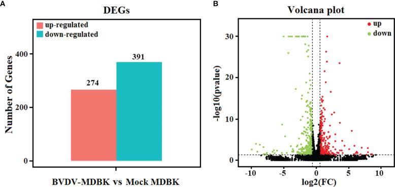 https://cdn.ncbi.nlm.nih.gov/pmc/blobs/e4a3/8966686/c5979c9e4a56/fimmu-13-862828-g002.jpg