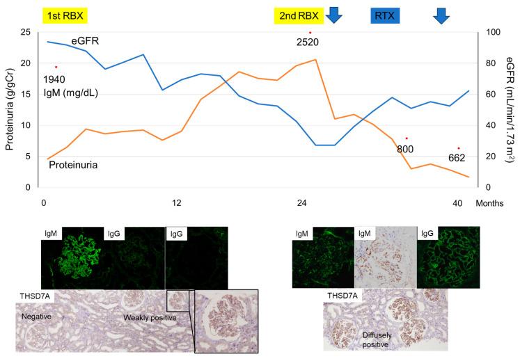 https://cdn.ncbi.nlm.nih.gov/pmc/blobs/e4a5/11172907/15ffc99ad7e2/ijms-25-05931-g002.jpg