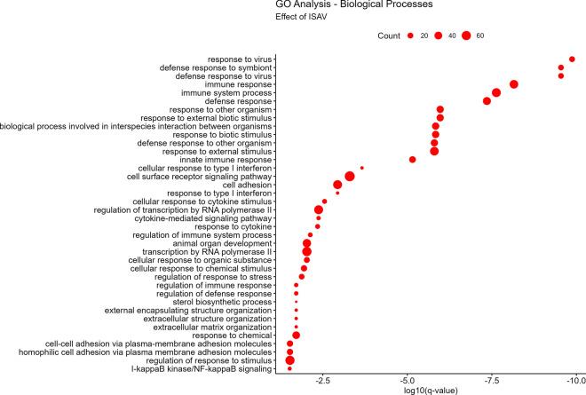 https://cdn.ncbi.nlm.nih.gov/pmc/blobs/e4a6/11715085/87bc0772c505/12985_2024_2619_Fig3_HTML.jpg