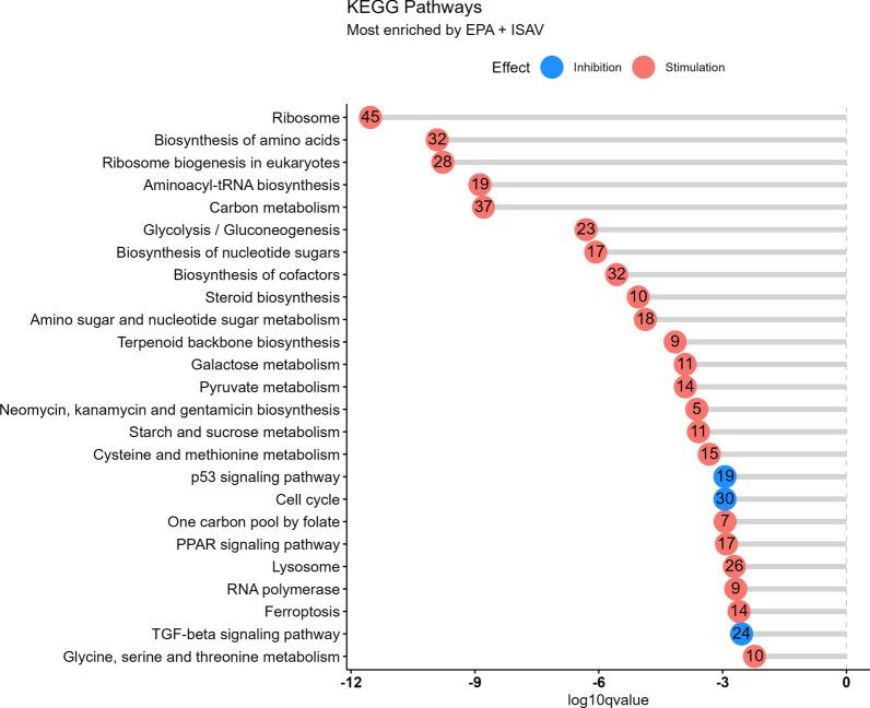 https://cdn.ncbi.nlm.nih.gov/pmc/blobs/e4a6/11715085/8d38a386746f/12985_2024_2619_Fig8_HTML.jpg