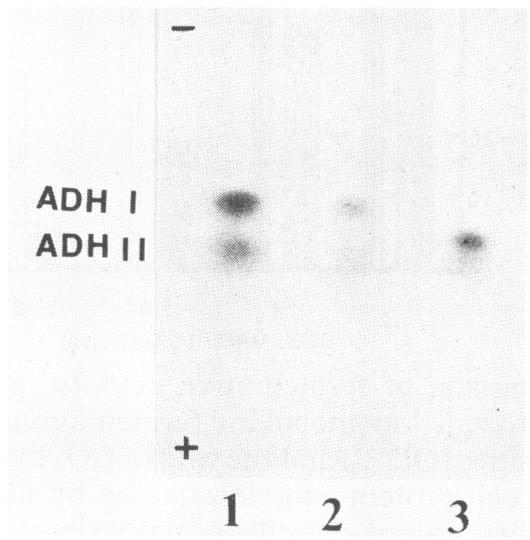 https://cdn.ncbi.nlm.nih.gov/pmc/blobs/e4a8/203887/31a4ca3e5125/aem00124-0044-a.jpg