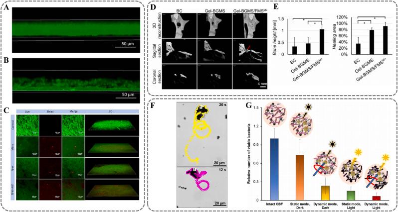 https://cdn.ncbi.nlm.nih.gov/pmc/blobs/e4a9/12148678/3e495e7654a0/gr9.jpg