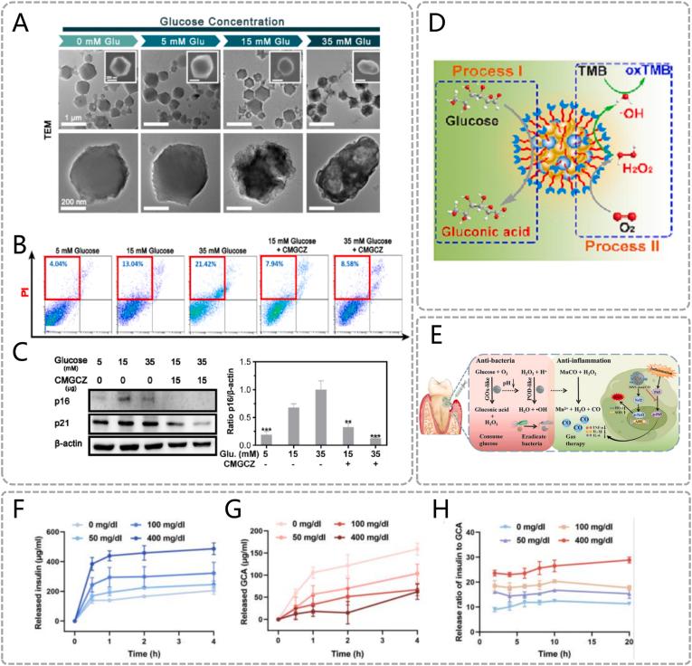 https://cdn.ncbi.nlm.nih.gov/pmc/blobs/e4a9/12148678/e5f6037d6d55/gr3.jpg