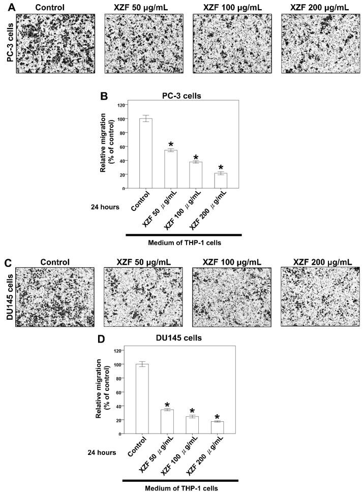 https://cdn.ncbi.nlm.nih.gov/pmc/blobs/e4ab/11942070/07c8501378ce/ijms-26-02684-g009a.jpg