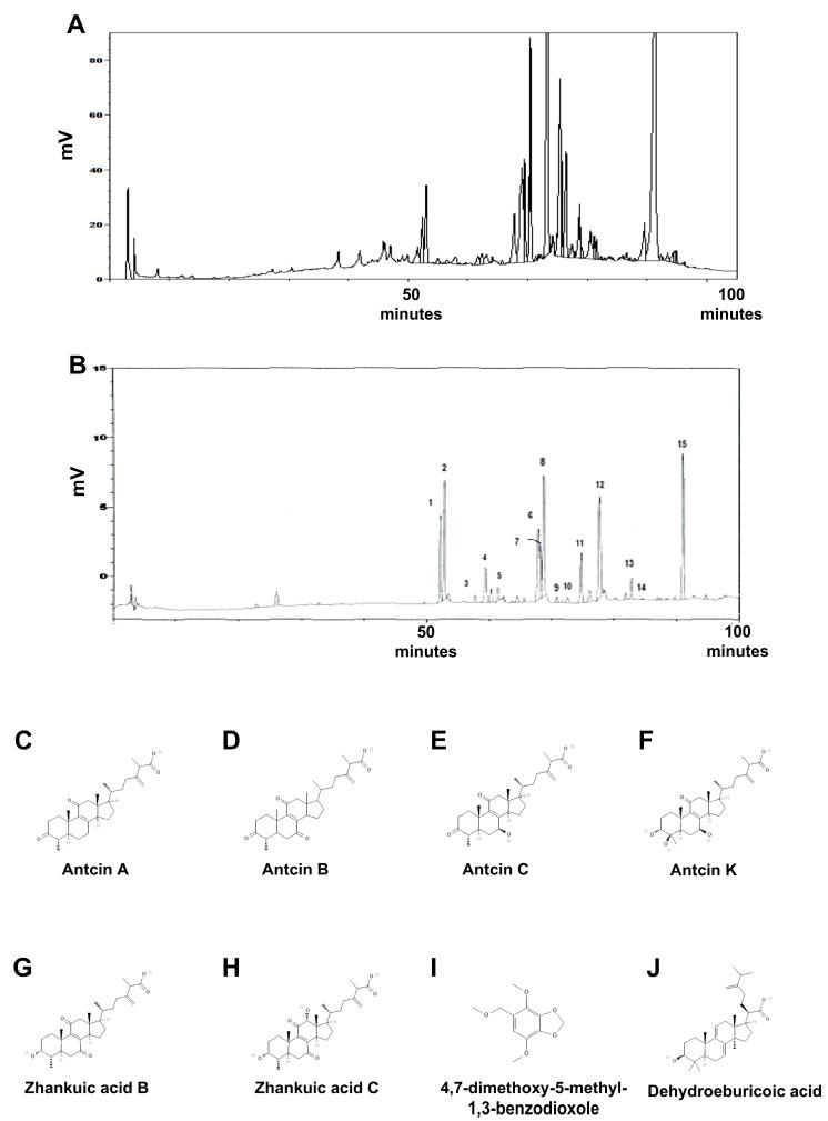 https://cdn.ncbi.nlm.nih.gov/pmc/blobs/e4ab/11942070/381339732e1f/ijms-26-02684-g001.jpg