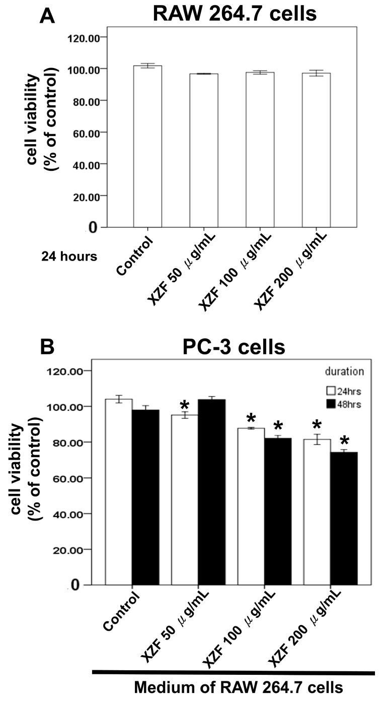 https://cdn.ncbi.nlm.nih.gov/pmc/blobs/e4ab/11942070/556c02285662/ijms-26-02684-g007.jpg