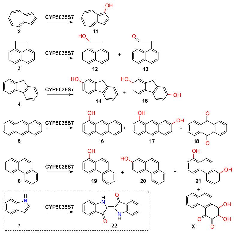 https://cdn.ncbi.nlm.nih.gov/pmc/blobs/e4ab/8615681/556065d4f91d/biomolecules-11-01708-sch001.jpg