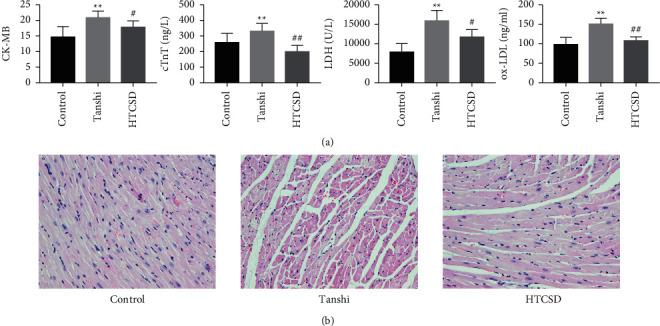 https://cdn.ncbi.nlm.nih.gov/pmc/blobs/e4ab/9391147/e8e669a5b8ad/CRP2022-6532003.002.jpg
