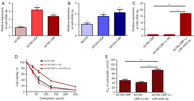 https://cdn.ncbi.nlm.nih.gov/pmc/blobs/e4ac/11483453/08b8458d0d88/tcr-13-09-4800-f1.jpg