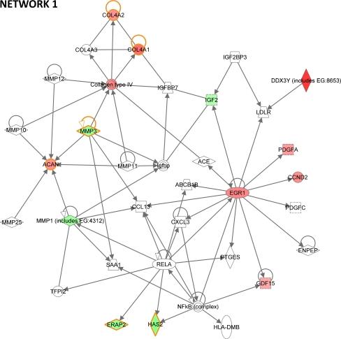 https://cdn.ncbi.nlm.nih.gov/pmc/blobs/e4ae/3073041/8ef39aaaa42c/12015_2010_9197_Fig4_HTML.jpg