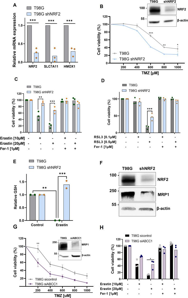 https://cdn.ncbi.nlm.nih.gov/pmc/blobs/e4b1/9270336/0edd22a8e4f3/41419_2022_5044_Fig4_HTML.jpg