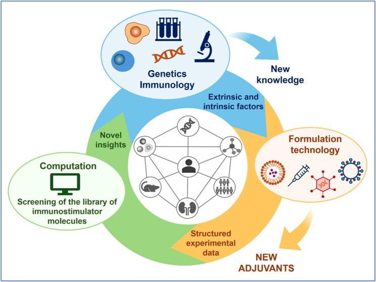 https://cdn.ncbi.nlm.nih.gov/pmc/blobs/e4b2/12180328/7a71804e8636/IDRD_A_2517137_F0002_C.jpg