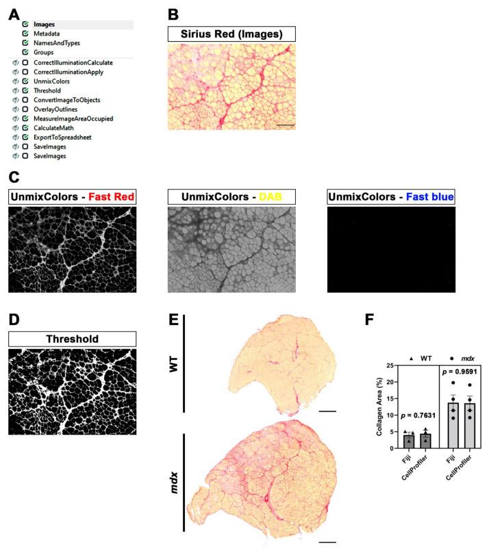 https://cdn.ncbi.nlm.nih.gov/pmc/blobs/e4b3/8947111/6566dd3922d1/diagnostics-12-00561-g004.jpg