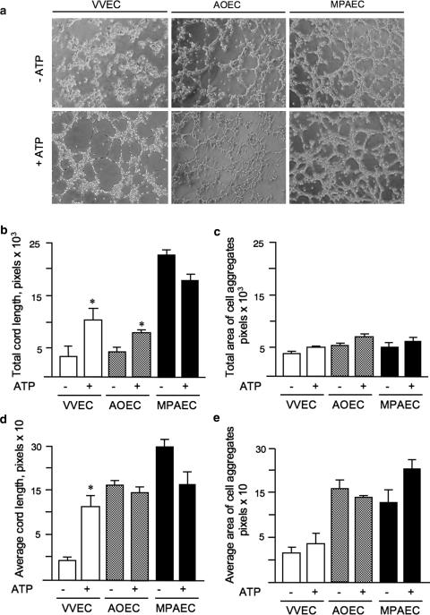 https://cdn.ncbi.nlm.nih.gov/pmc/blobs/e4b5/2480488/3fd5a28a80b4/10456_2007_9087_Fig4_HTML.jpg