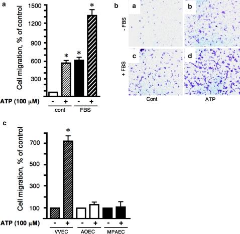 https://cdn.ncbi.nlm.nih.gov/pmc/blobs/e4b5/2480488/72d38962744d/10456_2007_9087_Fig3_HTML.jpg