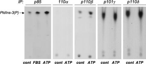 https://cdn.ncbi.nlm.nih.gov/pmc/blobs/e4b5/2480488/ecbbb301f47b/10456_2007_9087_Fig6_HTML.jpg