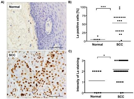 https://cdn.ncbi.nlm.nih.gov/pmc/blobs/e4b5/3189910/3a4290cc2113/pone.0025402.g001.jpg