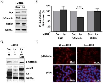 https://cdn.ncbi.nlm.nih.gov/pmc/blobs/e4b5/3189910/fd2e543df601/pone.0025402.g005.jpg