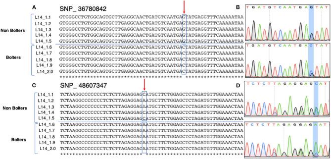 https://cdn.ncbi.nlm.nih.gov/pmc/blobs/e4b5/8311237/73d68cb54551/fpls-12-693285-g0005.jpg