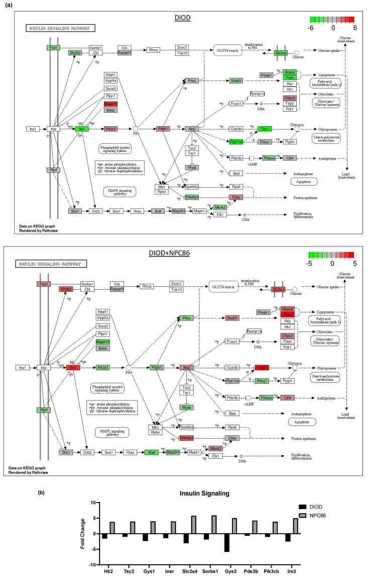 https://cdn.ncbi.nlm.nih.gov/pmc/blobs/e4b6/12027414/1a5e73d21591/ijms-26-03695-g006a.jpg