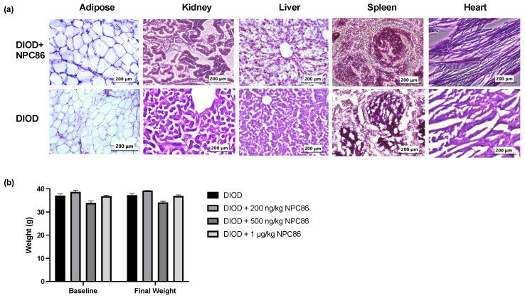 https://cdn.ncbi.nlm.nih.gov/pmc/blobs/e4b6/12027414/5cd5023da636/ijms-26-03695-g003.jpg