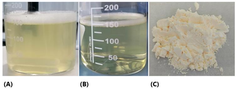https://cdn.ncbi.nlm.nih.gov/pmc/blobs/e4b6/12030634/8041f5e1ba02/pharmaceutics-17-00414-g001.jpg