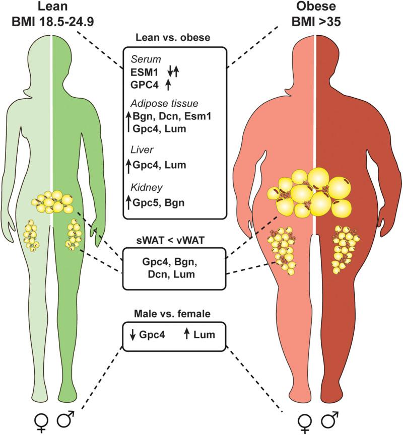 https://cdn.ncbi.nlm.nih.gov/pmc/blobs/e4b6/7248225/0bf70d76c824/fimmu-11-00769-g003.jpg