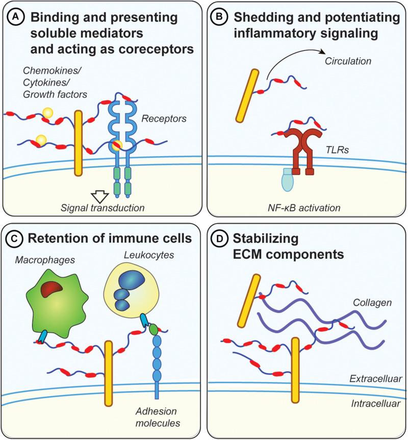 https://cdn.ncbi.nlm.nih.gov/pmc/blobs/e4b6/7248225/576c3b34c0d4/fimmu-11-00769-g002.jpg