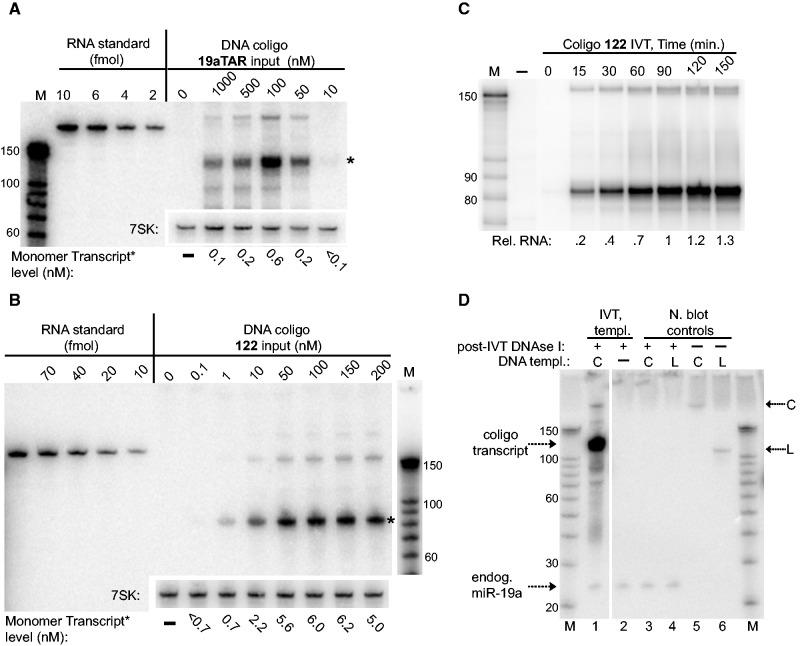 https://cdn.ncbi.nlm.nih.gov/pmc/blobs/e4b9/3575851/caadf746e45a/gks1334f3p.jpg