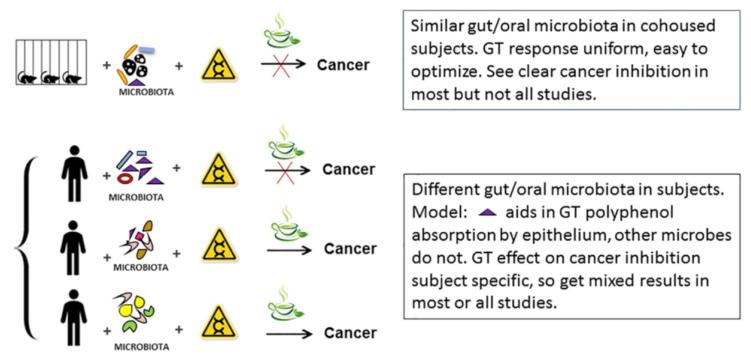 https://cdn.ncbi.nlm.nih.gov/pmc/blobs/e4be/7594096/49f4a7fc20ae/molecules-25-04753-g002.jpg