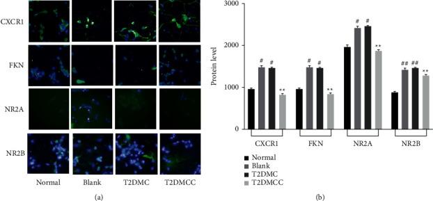 https://cdn.ncbi.nlm.nih.gov/pmc/blobs/e4bf/9444384/7016e5a408b7/ECAM2022-8980627.008.jpg