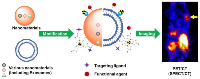 https://cdn.ncbi.nlm.nih.gov/pmc/blobs/e4c2/8875160/2fd623b8a317/nanomaterials-12-00582-sch001.jpg