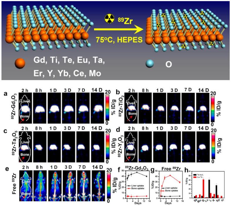 https://cdn.ncbi.nlm.nih.gov/pmc/blobs/e4c2/8875160/78a74c140deb/nanomaterials-12-00582-g002.jpg