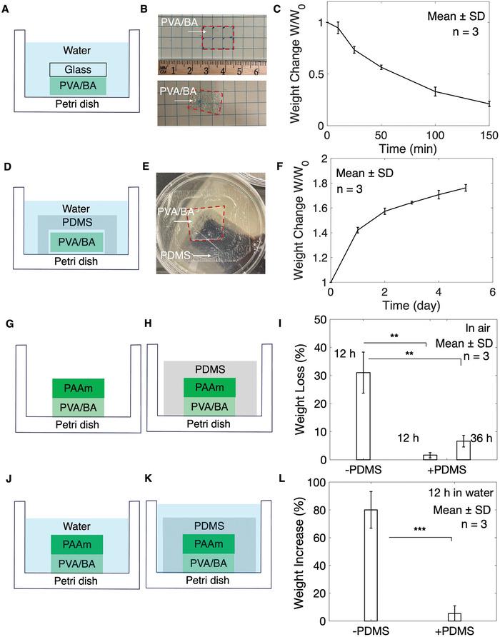 https://cdn.ncbi.nlm.nih.gov/pmc/blobs/e4c3/11650397/76a5b9ffc8f5/ADHM-13-0-g002.jpg