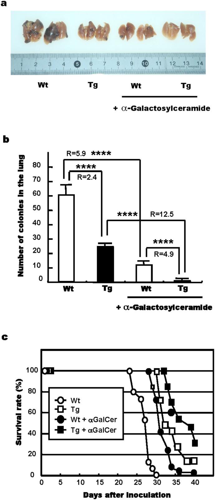 https://cdn.ncbi.nlm.nih.gov/pmc/blobs/e4c4/4357995/50ed743e0d1e/srep09083-f4.jpg