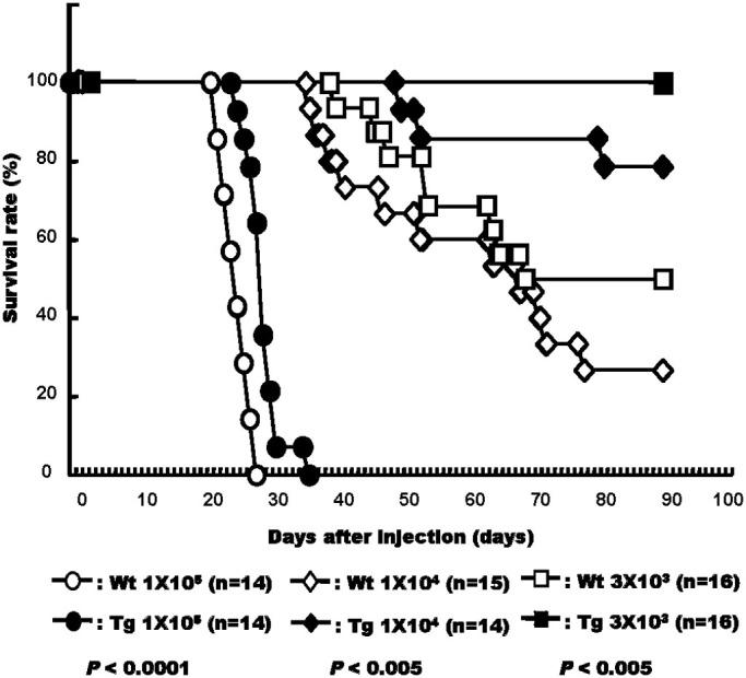 https://cdn.ncbi.nlm.nih.gov/pmc/blobs/e4c4/4357995/9c9f4c72a3db/srep09083-f5.jpg