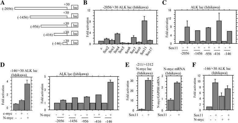 https://cdn.ncbi.nlm.nih.gov/pmc/blobs/e4c4/5307825/cff4c02a3443/12943_2017_609_Fig2_HTML.jpg