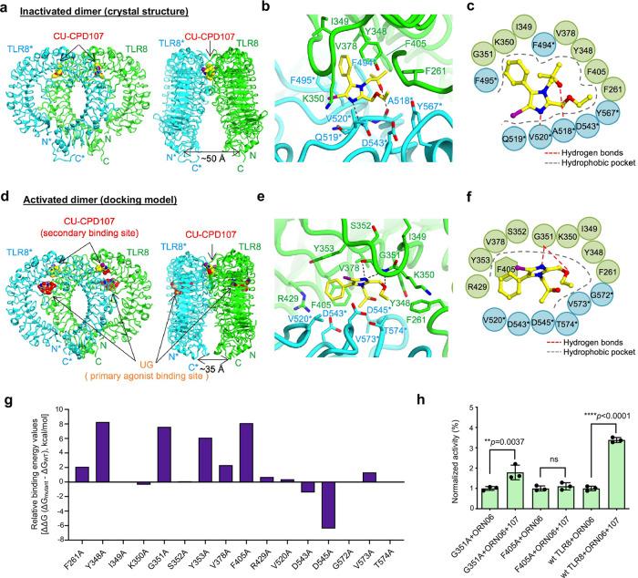 https://cdn.ncbi.nlm.nih.gov/pmc/blobs/e4c4/8285539/424d21d54f3c/41467_2021_24536_Fig4_HTML.jpg