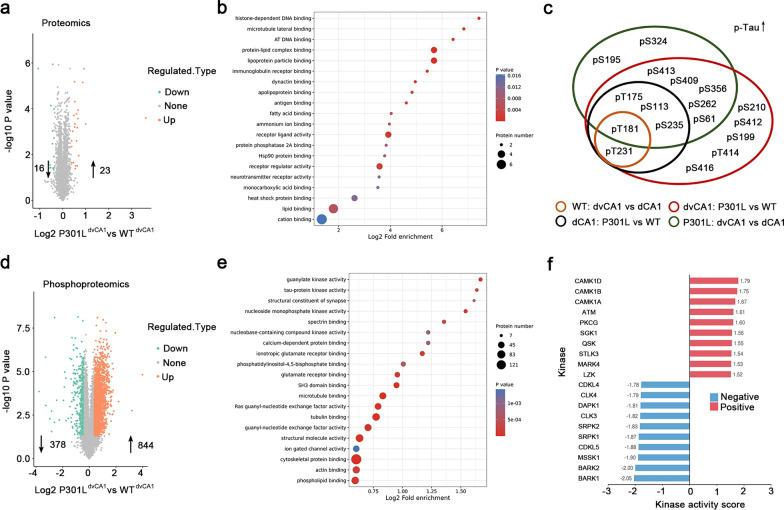 https://cdn.ncbi.nlm.nih.gov/pmc/blobs/e4c5/11877784/0c0bd30df0a3/40035_2025_473_Fig5_HTML.jpg