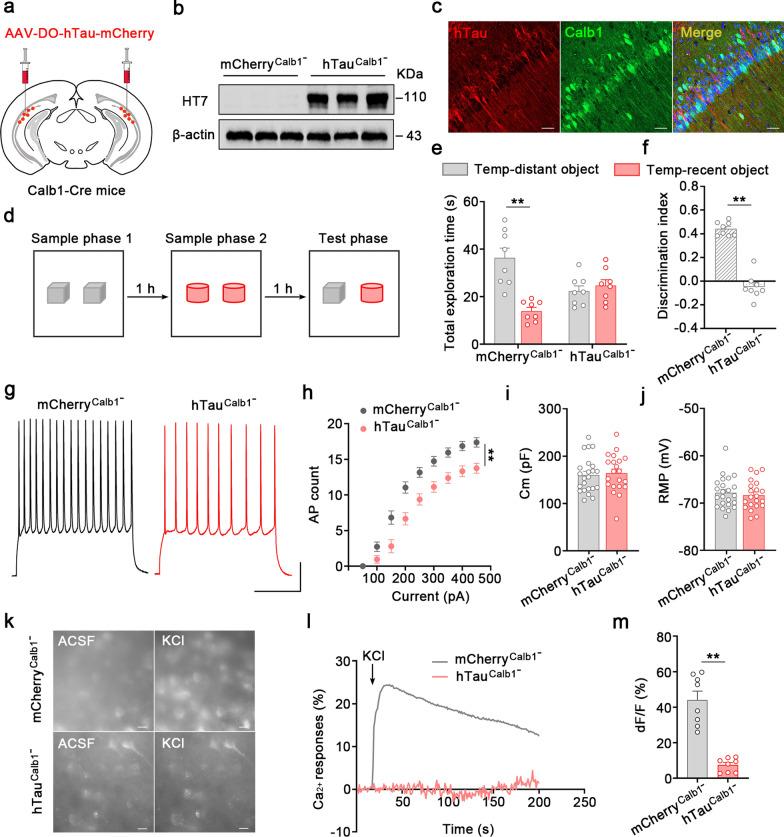 https://cdn.ncbi.nlm.nih.gov/pmc/blobs/e4c5/11877784/cd03a8e43fa1/40035_2025_473_Fig3_HTML.jpg