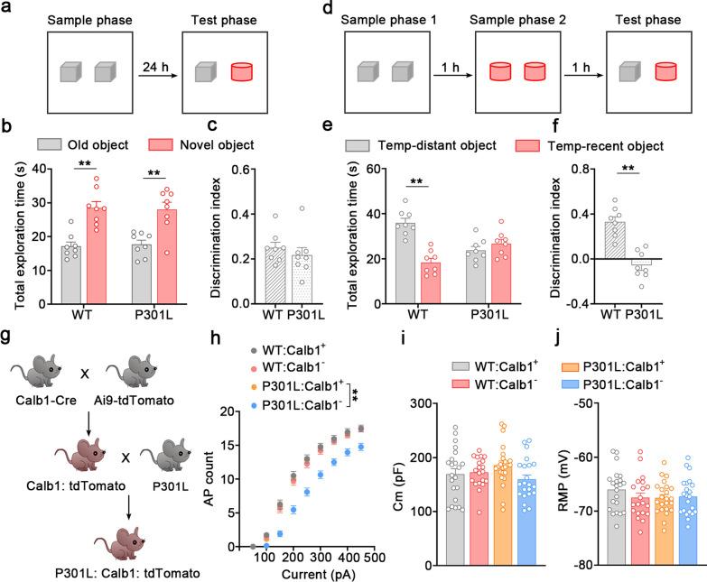 https://cdn.ncbi.nlm.nih.gov/pmc/blobs/e4c5/11877784/e8486080d3c8/40035_2025_473_Fig2_HTML.jpg